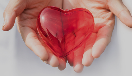 Warm Heart Benefit Line: Love Visit in Home Furnishings